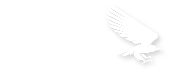 Falcon Logo white