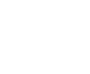 Surefire Logo White